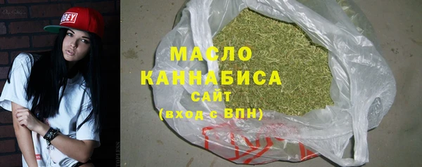 индика Вязьма