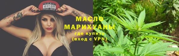 индика Вязьма