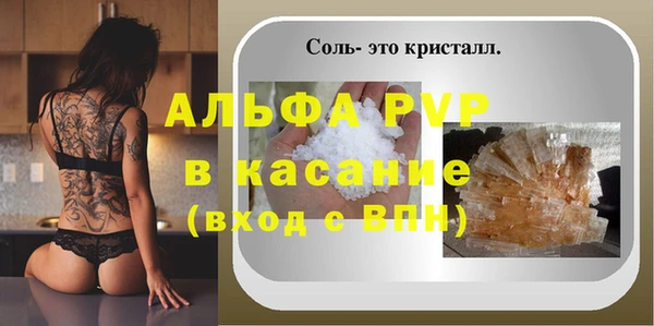 индика Вязьма