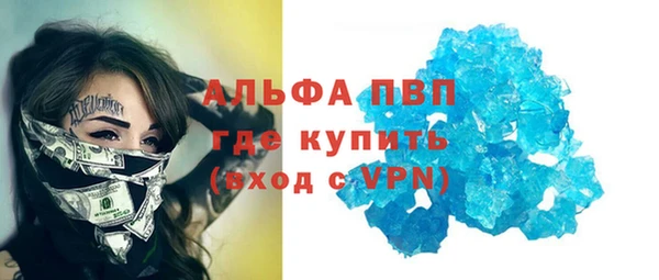 индика Вязьма