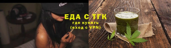 индика Вязьма