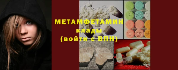 индика Вязьма