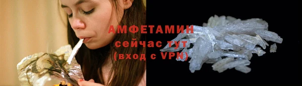 индика Вязьма