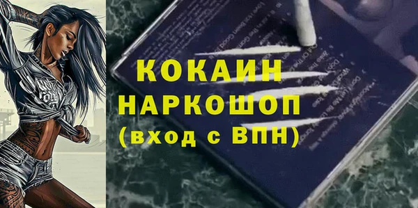 индика Вязьма
