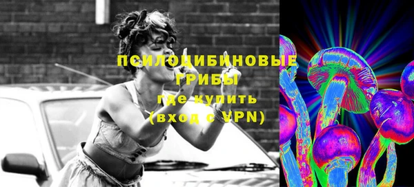 индика Вязьма
