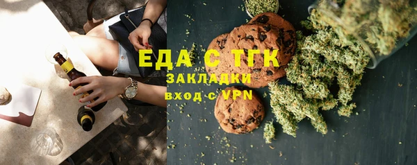 индика Вязьма