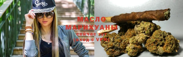 индика Вязьма