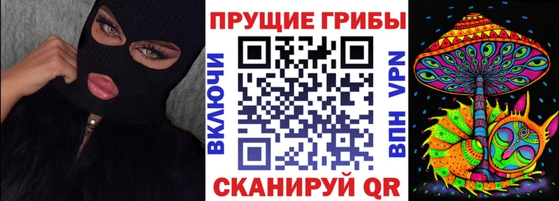 Псилоцибиновые грибы мицелий  Электросталь 
